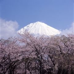 04-4-5-大石寺