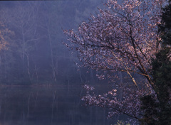 03-5-15中綱湖.