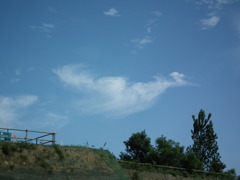 鳥っぽい雲