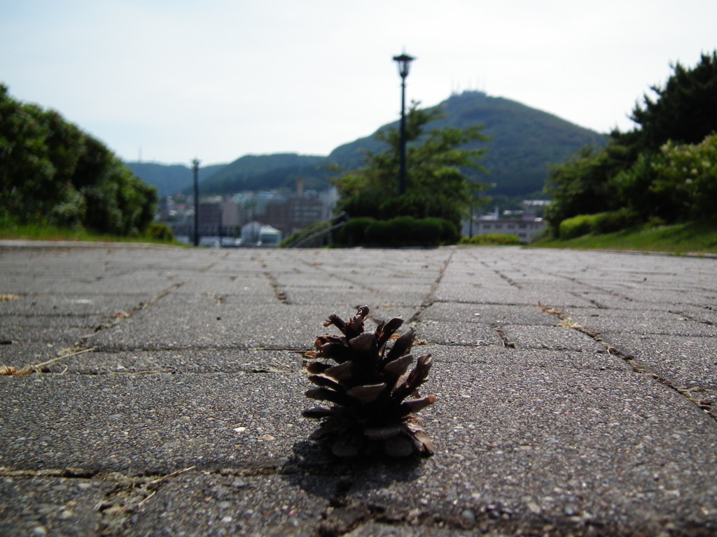 函館・緑の島