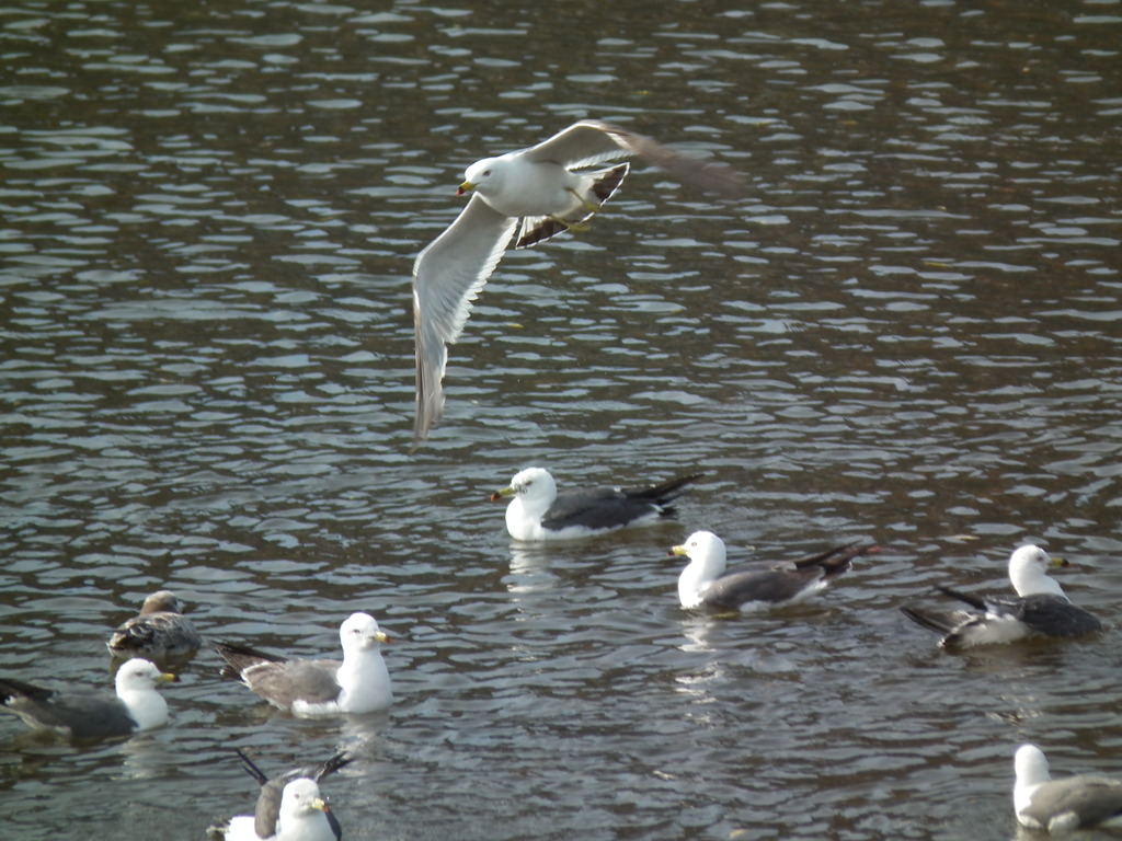 TAKE OFF!!