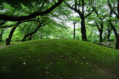 苔～飛鳥山