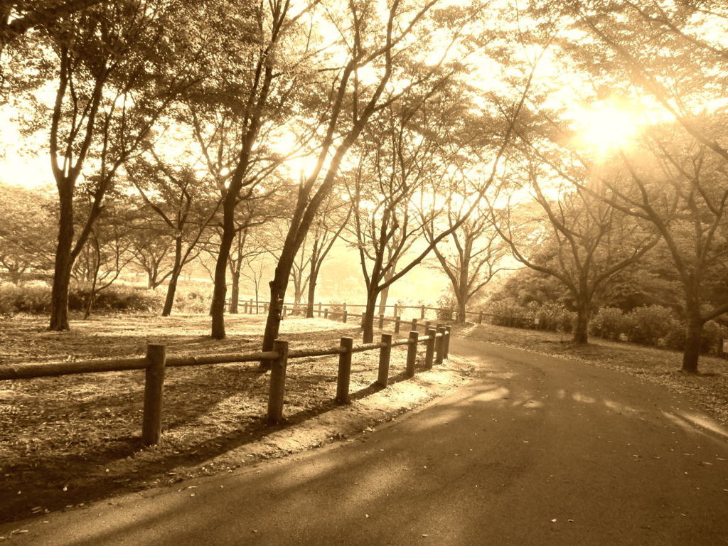 公園路１