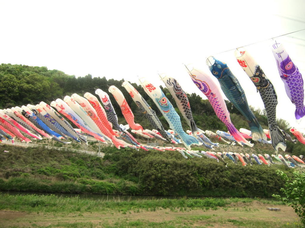 元気に泳いでる～♪