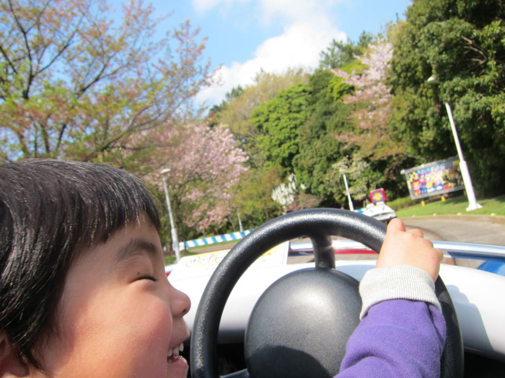 初ドライブはサクラの下で