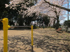 カラフル