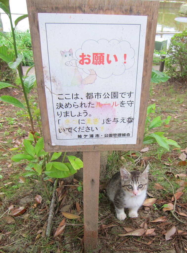 難しい・・