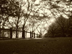 公園路２