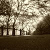 公園路２