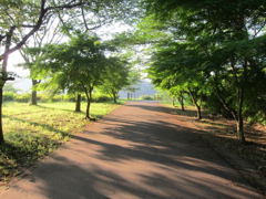 公園路３