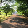 公園路３