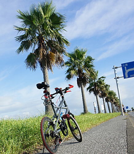 まだまだ夏