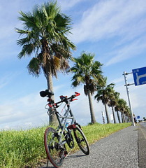 まだまだ夏
