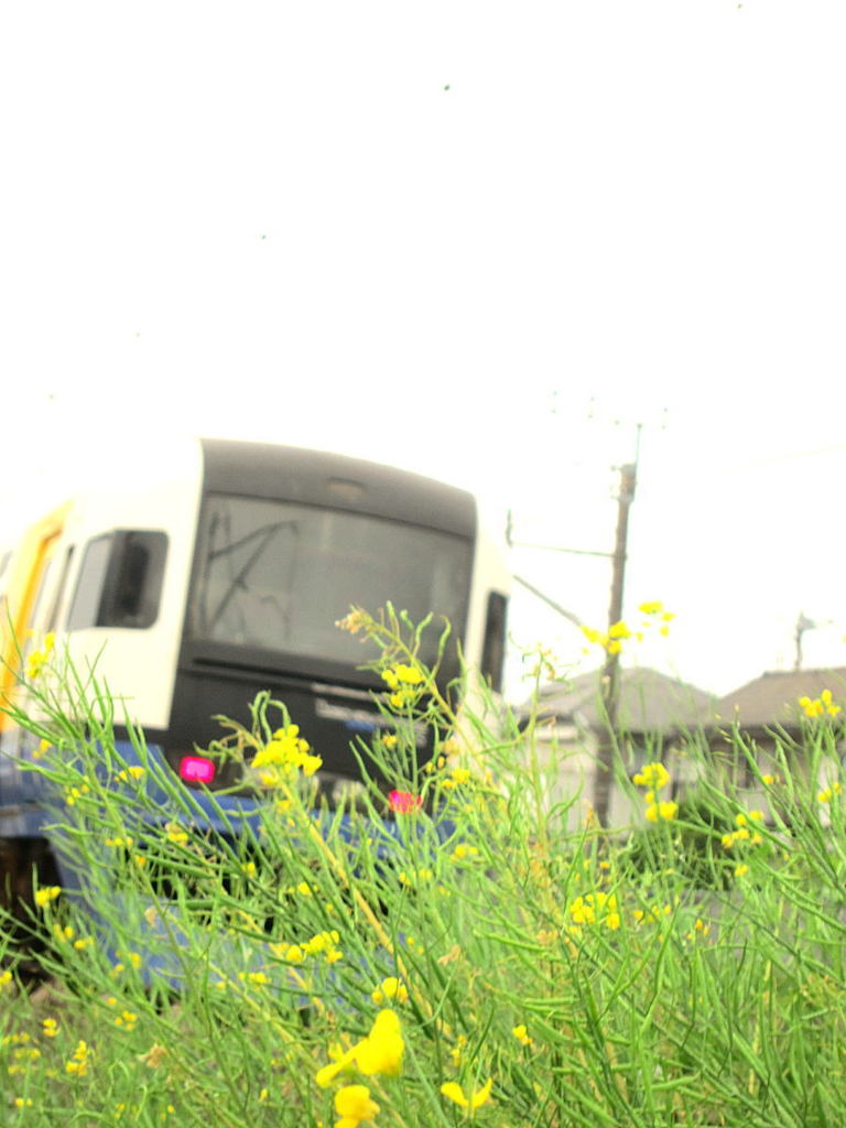 房総列車