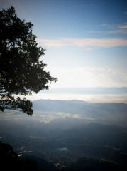 山頂より