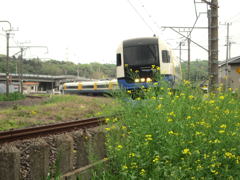 房総列車がゆく