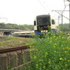 房総列車がゆく