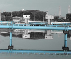 青橋