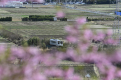 天竜浜名湖鉄道ローカル列車