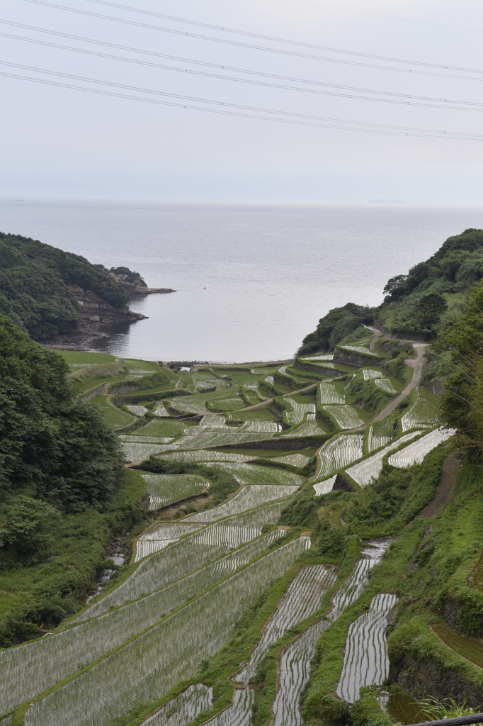 浜の浦