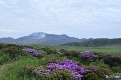 早朝の草千里　中岳方面