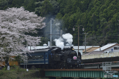 大井川さくらＳＬ