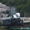 大井川さくらＳＬ