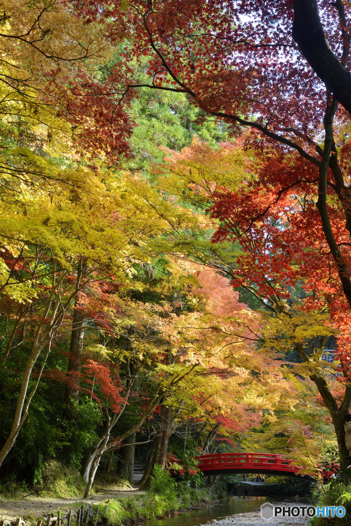 小国神社_04