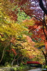 小国神社_04