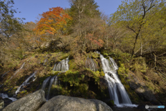 紅葉と滝