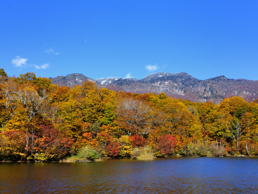鎌池