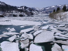 破間川ダム雪流れ1