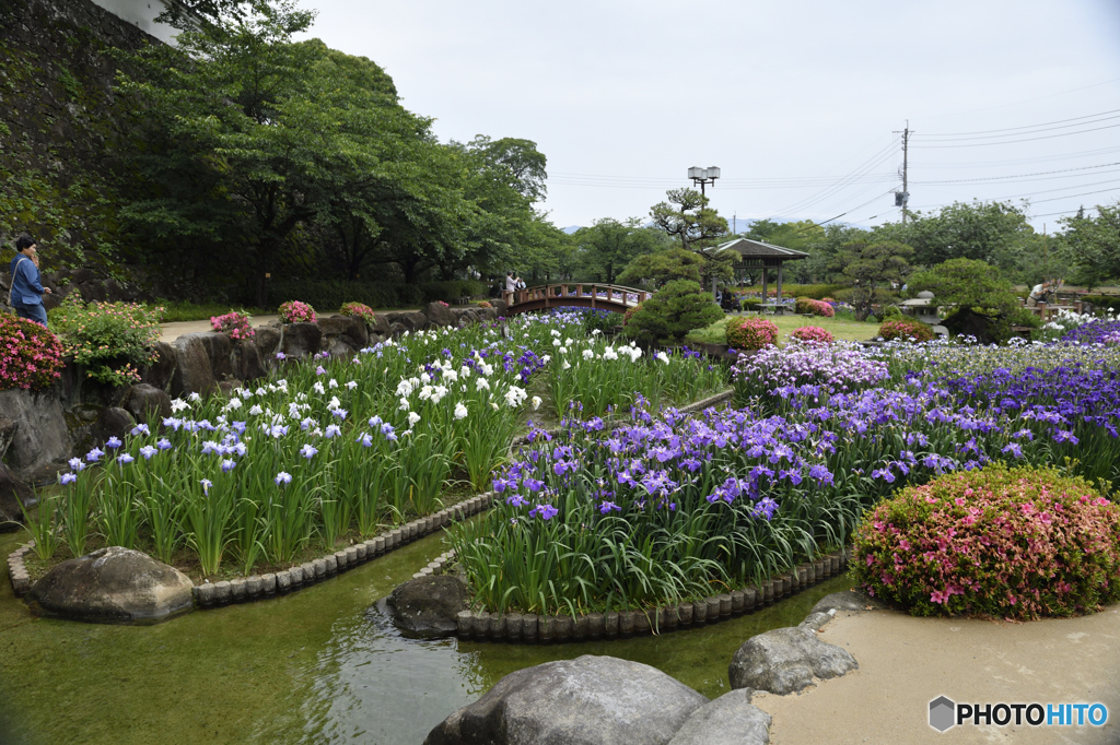 菖蒲園２