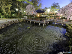 花ぐるぐる