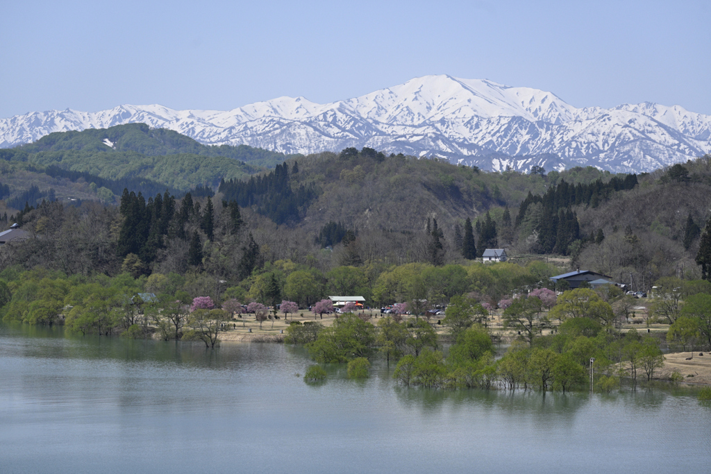 白川ダム湖_13