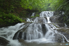 魚止めの滝