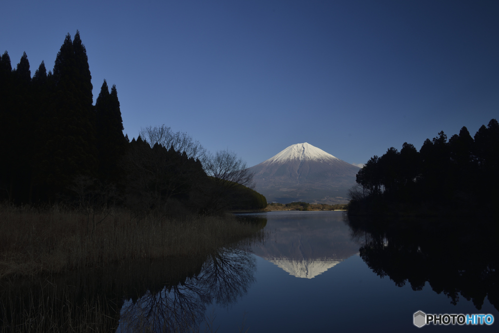 田貫湖逆さ富士