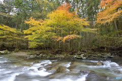 渓流の秋色３
