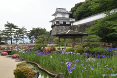 菖蒲園１