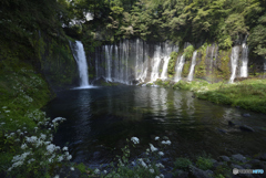 白糸の滝