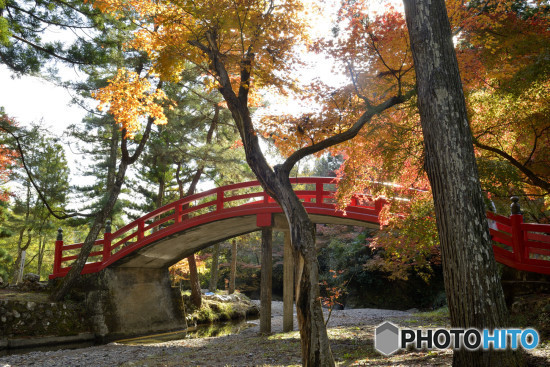 大洞院　０２