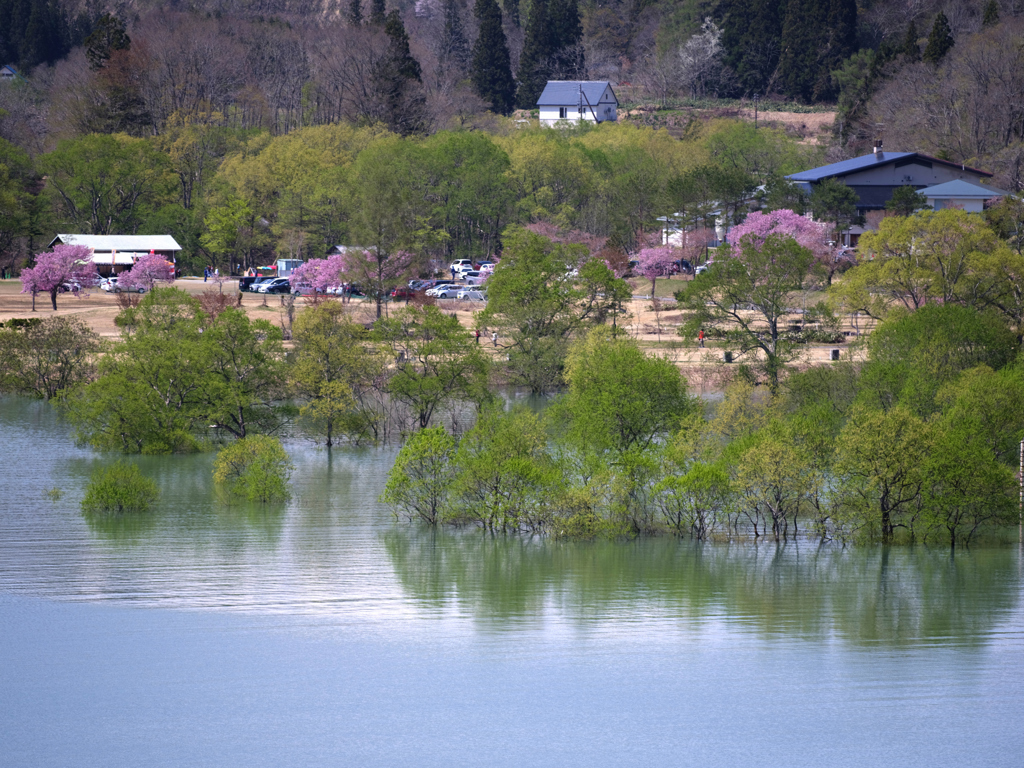 白川ダム湖_07