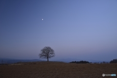 2000_D8D5829