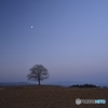 2000_D8D5829