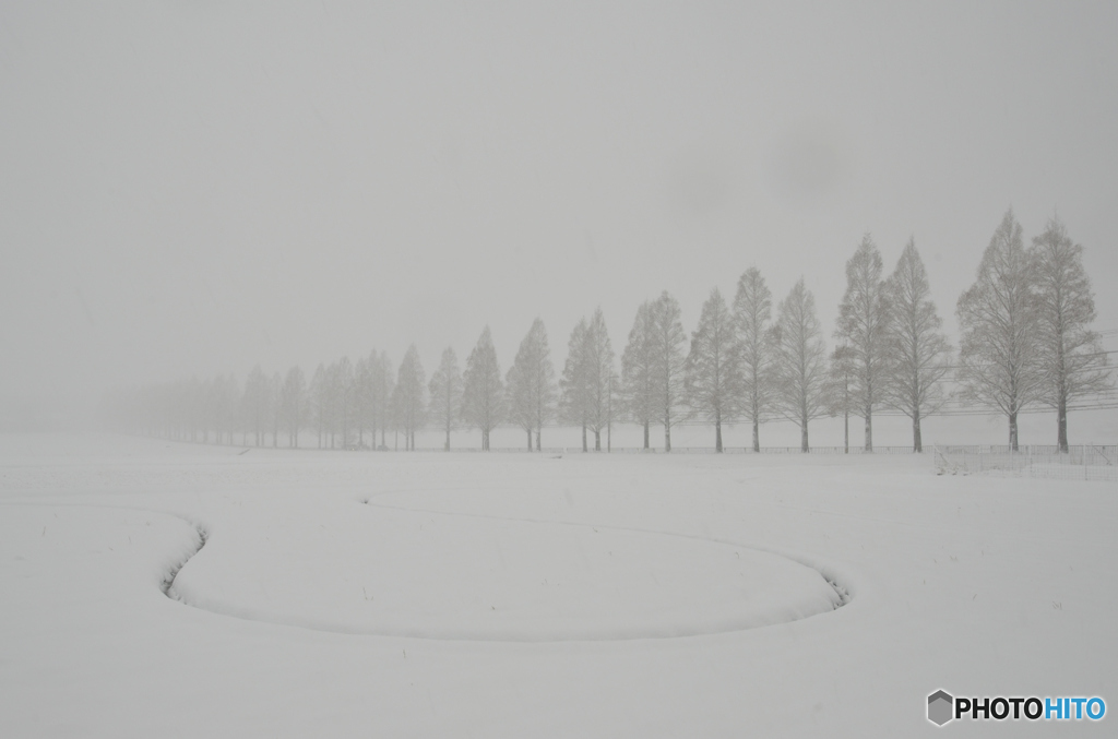 雪の中
