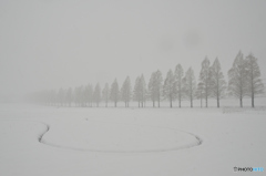 雪の中