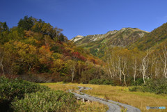 栂池秋景色