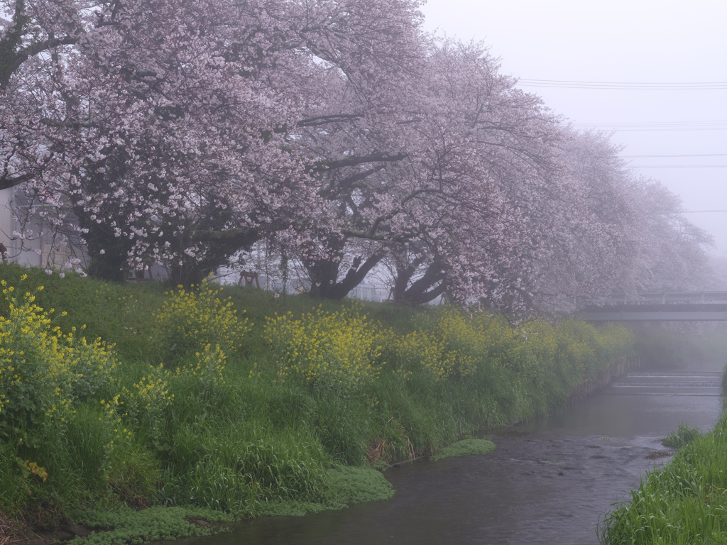 御陣屋川