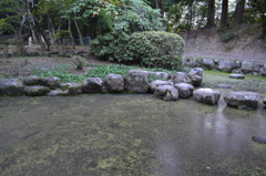 にごり池