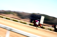 佐賀競馬